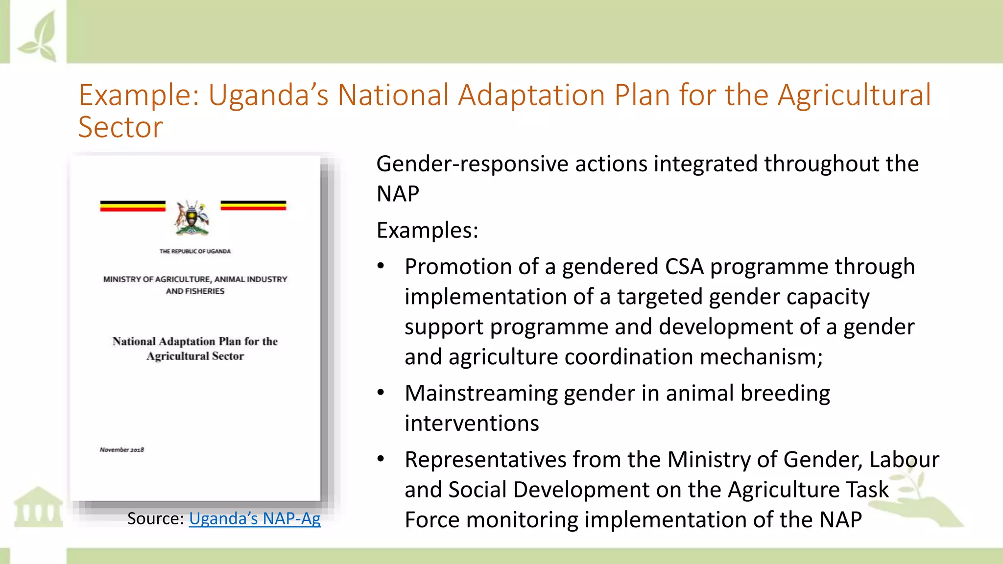 Example: Uganda’s National Adaptation Plan for the Agricultural
Sector
Source: Uganda’s NAP-Ag
Gender-responsive actions integrated throughout the
NAP
Examples:
• Promotion of a gendered CSA programme through
implementation of a targeted gender capacity
support programme and development of a gender
and agriculture coordination mechanism;
• Mainstreaming gender in animal breeding
interventions
• Representatives from the Ministry of Gender, Labour
and Social Development on the Agriculture Task
Force monitoring implementation of the NAP
 