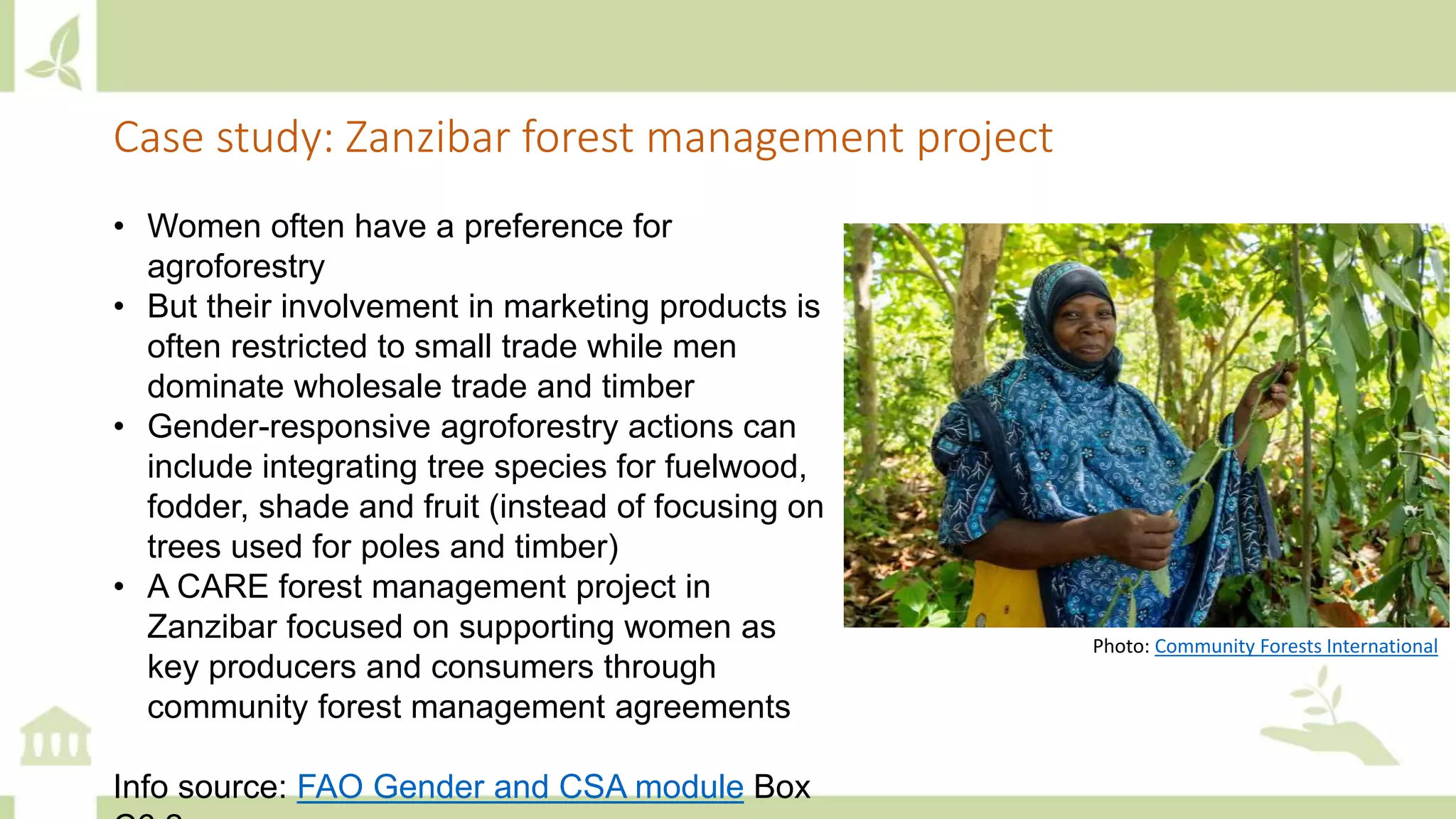 Case study: Zanzibar forest management project
• Women often have a preference for
agroforestry
• But their involvement in marketing products is
often restricted to small trade while men
dominate wholesale trade and timber
• Gender-responsive agroforestry actions can
include integrating tree species for fuelwood,
fodder, shade and fruit (instead of focusing on
trees used for poles and timber)
• A CARE forest management project in
Zanzibar focused on supporting women as
key producers and consumers through
community forest management agreements
Info source: FAO Gender and CSA module Box
Photo: Community Forests International
 