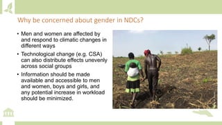 Why be concerned about gender in NDCs?
• Men and women are affected by
and respond to climatic changes in
different ways
• Technological change (e.g. CSA)
can also distribute effects unevenly
across social groups
• Information should be made
available and accessible to men
and women, boys and girls, and
any potential increase in workload
should be minimized.
Photo:M.Acosta
 