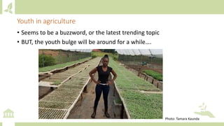 Youth in agriculture
• Seems to be a buzzword, or the latest trending topic
• BUT, the youth bulge will be around for a while….
Photo: Tamara Kaunda
 