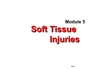 Module 5 first aid Soft Tissue Injury.ppt
