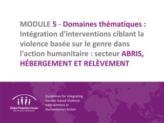 Guidelines for Integrating
Gender-based Violence
Interventions in
Humanitarian Action
MODULE 5 - Domaines thématiques :
Intégration d'interventions ciblant la
violence basée sur le genre dans
l'action humanitaire : secteur ABRIS,
HÉBERGEMENT ET RELÈVEMENT
 