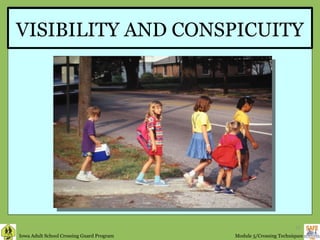 VISIBILITY AND CONSPICUITY 