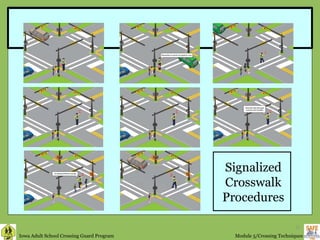 Signalized Crosswalk Procedures 