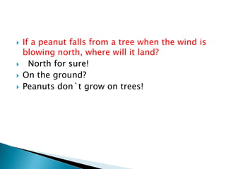  If a peanut falls from a tree when the wind is
blowing north, where will it land?
 North for sure!
 On the ground?
 Peanuts don`t grow on trees!
 