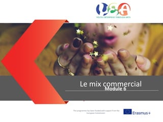 Entrepreneurial mind sets
This programme has been funded with support from the
European Commission
Le mix commercialModule 6
 