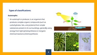 Module 6 - Microbiology and Drug Discovery.pptx