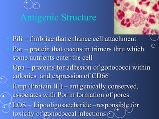 Antigenic Structure

• Pili – fimbriae that enhance cell attachment
• Por – protein that occurs in trimers thru which
  some nutrients enter the cell
• Opa – proteins for adhesion of gonococci within
  colonies and expression of CD66
• Rmp (Protein III) – antigenically conserved,
  associates with Por in formation of pores
• LOS – Lipooligosaccharide –responsible for
  toxicity of gonococcal infections
 
