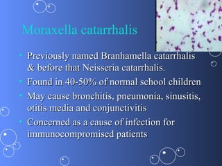 Moraxella catarrhalis
• Previously named Branhamella catarrhalis
  & before that Neisseria catarrhalis.
• Found in 40-50% of normal school children
• May cause bronchitis, pneumonia, sinusitis,
  otitis media and conjunctivitis
• Concerned as a cause of infection for
  immunocompromised patients
 