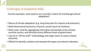 Country examples: what systems are currently in place for tracking agricultural
adaptation?
• Nature of climate adaptation (e.g. long timescales for impacts and outcomes)
• Multi-dimensional (economic, financial, social) nature of resilience
• Multi-scale: need for aggregating information horizontally across climate-
sensitive sectors, and vertically across different levels of government
• Lack of an “off the shelf” methodology and single metric to assess related
outcomes
• Difficult to identify, combine and interpret the types and relevant indicators
Challenges of adaptation M&E
 