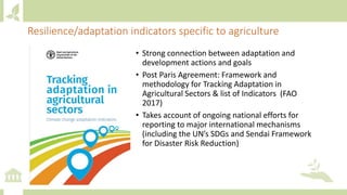 Resilience/adaptation indicators specific to agriculture
• Strong connection between adaptation and
development actions and goals
• Post Paris Agreement: Framework and
methodology for Tracking Adaptation in
Agricultural Sectors & list of Indicators (FAO
2017)
• Takes account of ongoing national efforts for
reporting to major international mechanisms
(including the UN’s SDGs and Sendai Framework
for Disaster Risk Reduction)
 