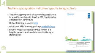 Resilience/adaptation indicators specific to agriculture
• The NAP-Ag program is also providing assistance
to specific countries to develop M&E systems for
adaptation in agriculture
• Online learning resource here
• Additional M&E training package available here
• Establishing an adaptation M&E system is a
lengthy process and needs to involve the right
stakeholders
FAO and UNDP 2019: Link to report
 