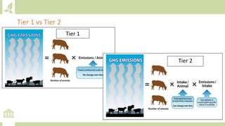 Module 6: Measurement, Reporting and Verification (MRV) and adaptation M&E