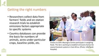 Module 6: Measurement, Reporting and Verification (MRV) and adaptation M&E
