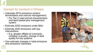 Module 6: Measurement, Reporting and Verification (MRV) and adaptation M&E