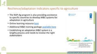 Module 6: Measurement, Reporting and Verification (MRV) and adaptation M&E