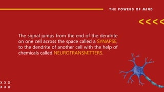 The signal jumps from the end of the dendrite
on one cell across the space called a SYNAPSE,
to the dendrite of another cell with the help of
chemicals called NEUROTRANSMITTERS.
 
