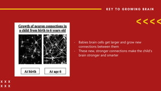 - Babies brain cells get larger and grow new
connections between them
- These new, stronger connections make the child’s
brain stronger and smarter
 