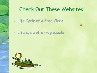 Check Out These Websites! Life Cycle of a Frog Video Life cycle of a frog puzzle 