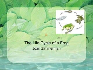The Life Cycle of a Frog Joan Zimmerman 