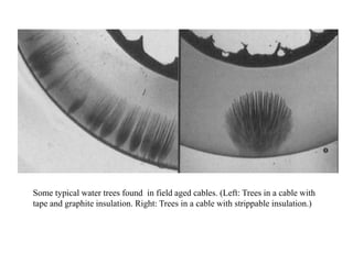 Some typical water trees found in field aged cables. (Left: Trees in a cable with
tape and graphite insulation. Right: Trees in a cable with strippable insulation.)
 