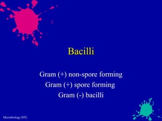 Bacilli

                   Gram (+) non-spore forming
                    Gram (+) spore forming
                        Gram (-) bacilli

Microbiology HTL
 