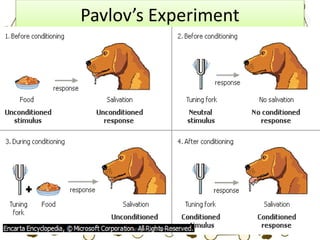 Pavlov’s Experiment
ariugas_bhai@yahoo.com
 
