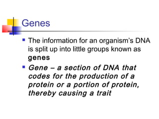 Genes
   The information for an organism’s DNA
    is split up into little groups known as
    genes
   Gene – a section of DNA that
    codes for the production of a
    protein or a portion of protein,
    thereby causing a trait
 