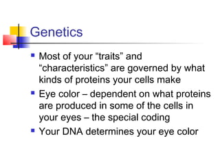 Genetics
   Most of your “traits” and
    “characteristics” are governed by what
    kinds of proteins your cells make
   Eye color – dependent on what proteins
    are produced in some of the cells in
    your eyes – the special coding
   Your DNA determines your eye color
 