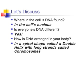 Let’s Discuss
   Where in the cell is DNA found?
   In the cell’s nucleus
   Is everyone’s DNA different?
   Yes!
   How is DNA arranged in your body?
   In a spiral shape called a Double
    Helix with long strands called
    Chromosomes
 