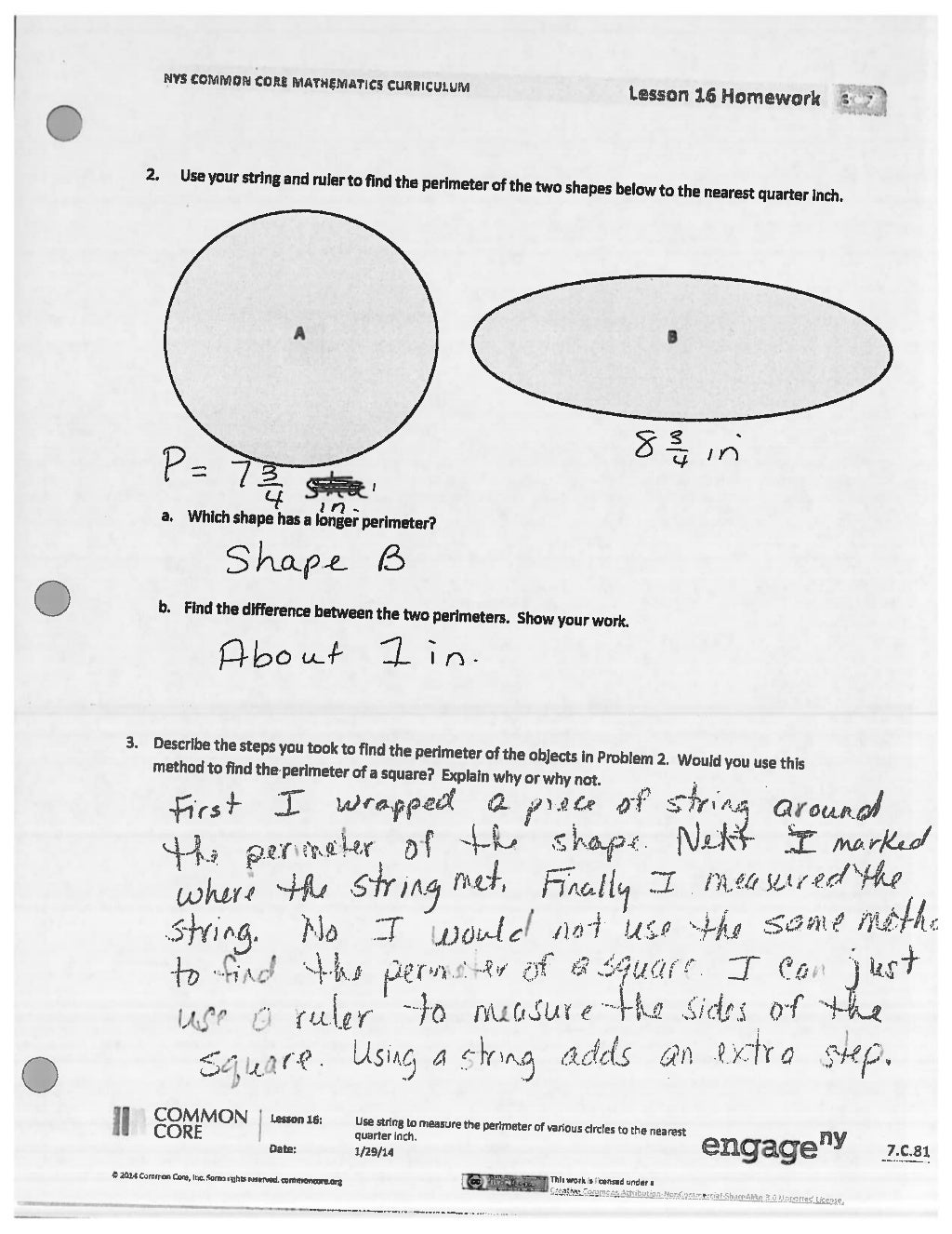 Module 7 answer key for homework