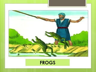 FROGS
 