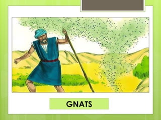 GNATS
 