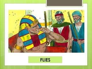 FLIES
 