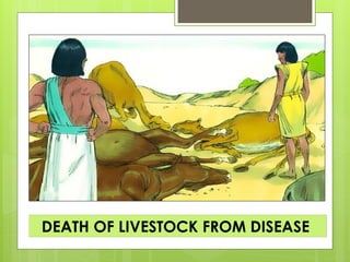 DEATH OF LIVESTOCK FROM DISEASE
 