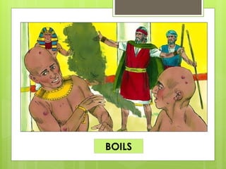 BOILS
 