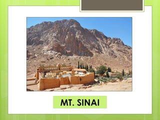 MT. SINAI
 