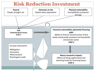 Economics of Disaster | PPT