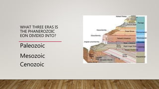 WHAT THREE ERAS IS
THE PHANEROZOIC
EON DIVIDED INTO?
Paleozoic
Mesozoic
Cenozoic
 