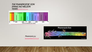 THE PHANEROZOIC EON
SPANS 542 MILLION
YEARS.EDUCATION-PORTAL.COM
Phanerozoic.jpg
buncombe.k12.nc.us
 