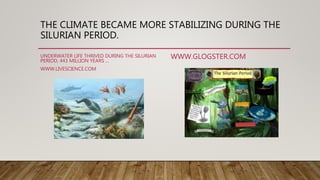 THE CLIMATE BECAME MORE STABILIZING DURING THE
SILURIAN PERIOD.
UNDERWATER LIFE THRIVED DURING THE SILURIAN
PERIOD, 443 MILLION YEARS ...
WWW.LIVESCIENCE.COM
WWW.GLOGSTER.COM
 