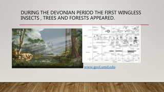 DURING THE DEVONIAN PERIOD THE FIRST WINGLESS
INSECTS , TREES AND FORESTS APPEARED.
www.geol.umd.edu
 