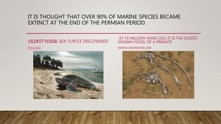 IT IS THOUGHT THAT OVER 90% OF MARINE SPECIES BECAME
EXTINCT AT THE END OF THE PERMIAN PERIOD.
OLDEST FOSSIL SEA TURTLE DISCOVERED
PHYS.ORG
AT 55 MILLION YEARS OLD, IT IS THE OLDEST
KNOWN FOSSIL OF A PRIMATE
WWW.CSMONITOR.COM
 