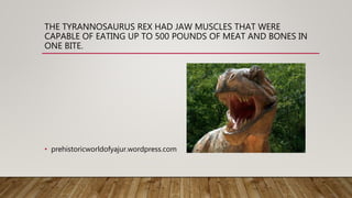 THE TYRANNOSAURUS REX HAD JAW MUSCLES THAT WERE
CAPABLE OF EATING UP TO 500 POUNDS OF MEAT AND BONES IN
ONE BITE.
• prehistoricworldofyajur.wordpress.com
 