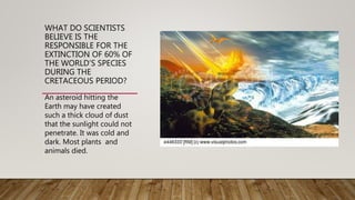 WHAT DO SCIENTISTS
BELIEVE IS THE
RESPONSIBLE FOR THE
EXTINCTION OF 60% OF
THE WORLD’S SPECIES
DURING THE
CRETACEOUS PERIOD?
An asteroid hitting the
Earth may have created
such a thick cloud of dust
that the sunlight could not
penetrate. It was cold and
dark. Most plants and
animals died.
 