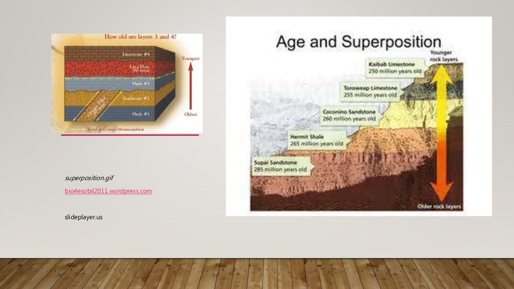 Historical Geology Study Guide