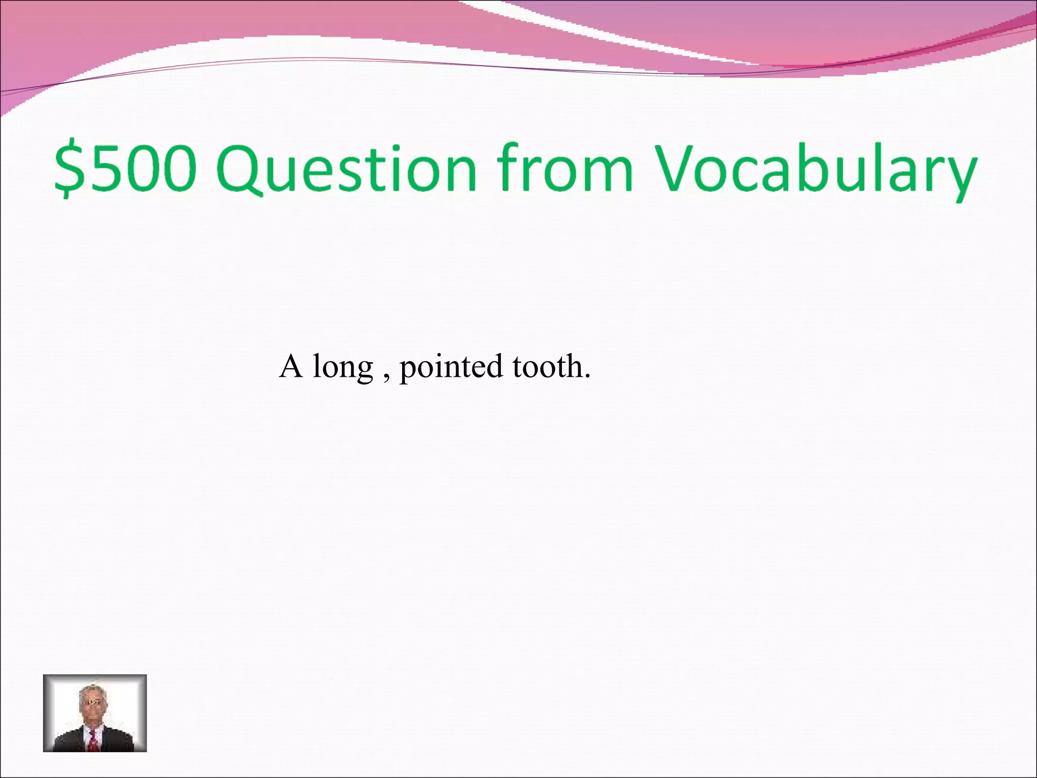 A long , pointed tooth. 