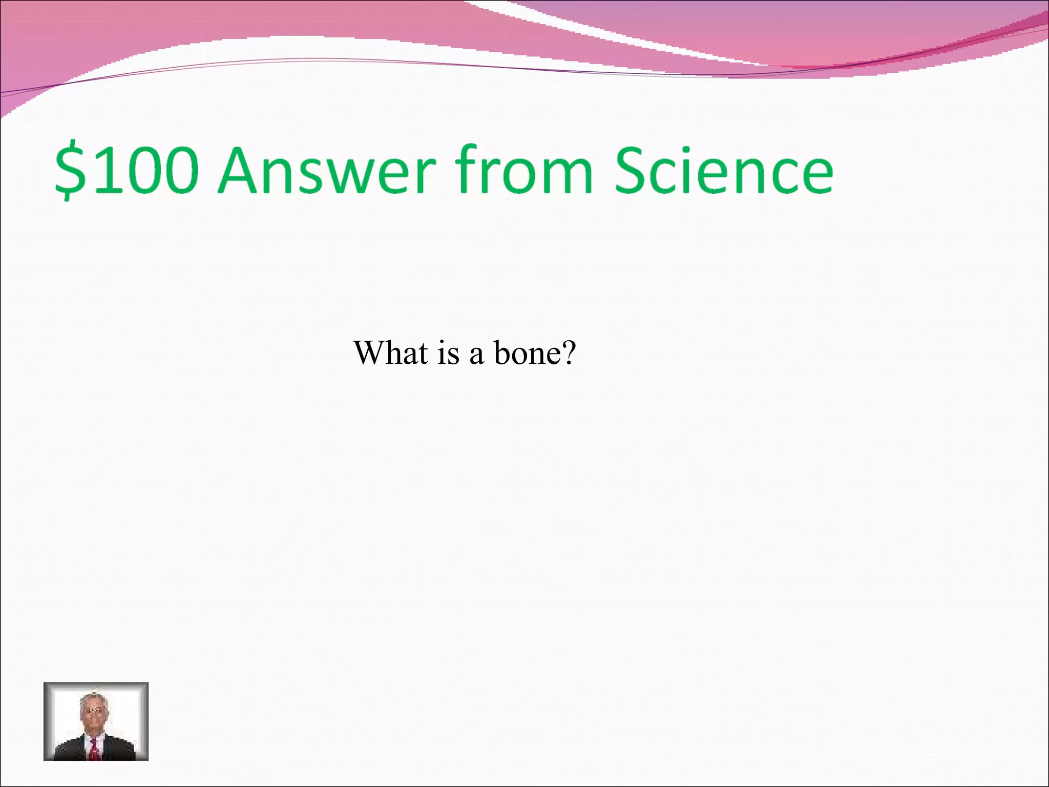 What is a bone? 