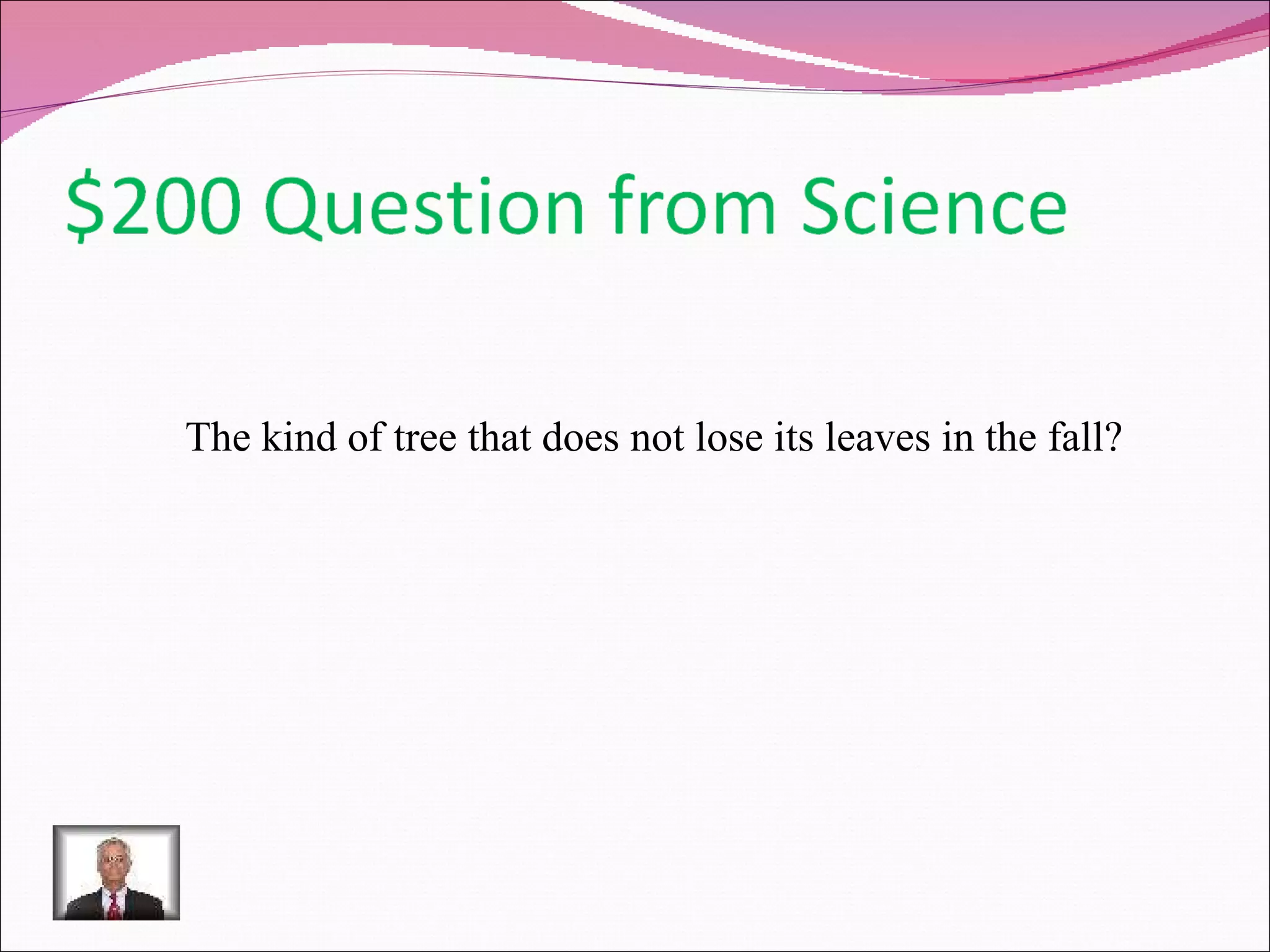 The kind of tree that does not lose its leaves in the fall? 