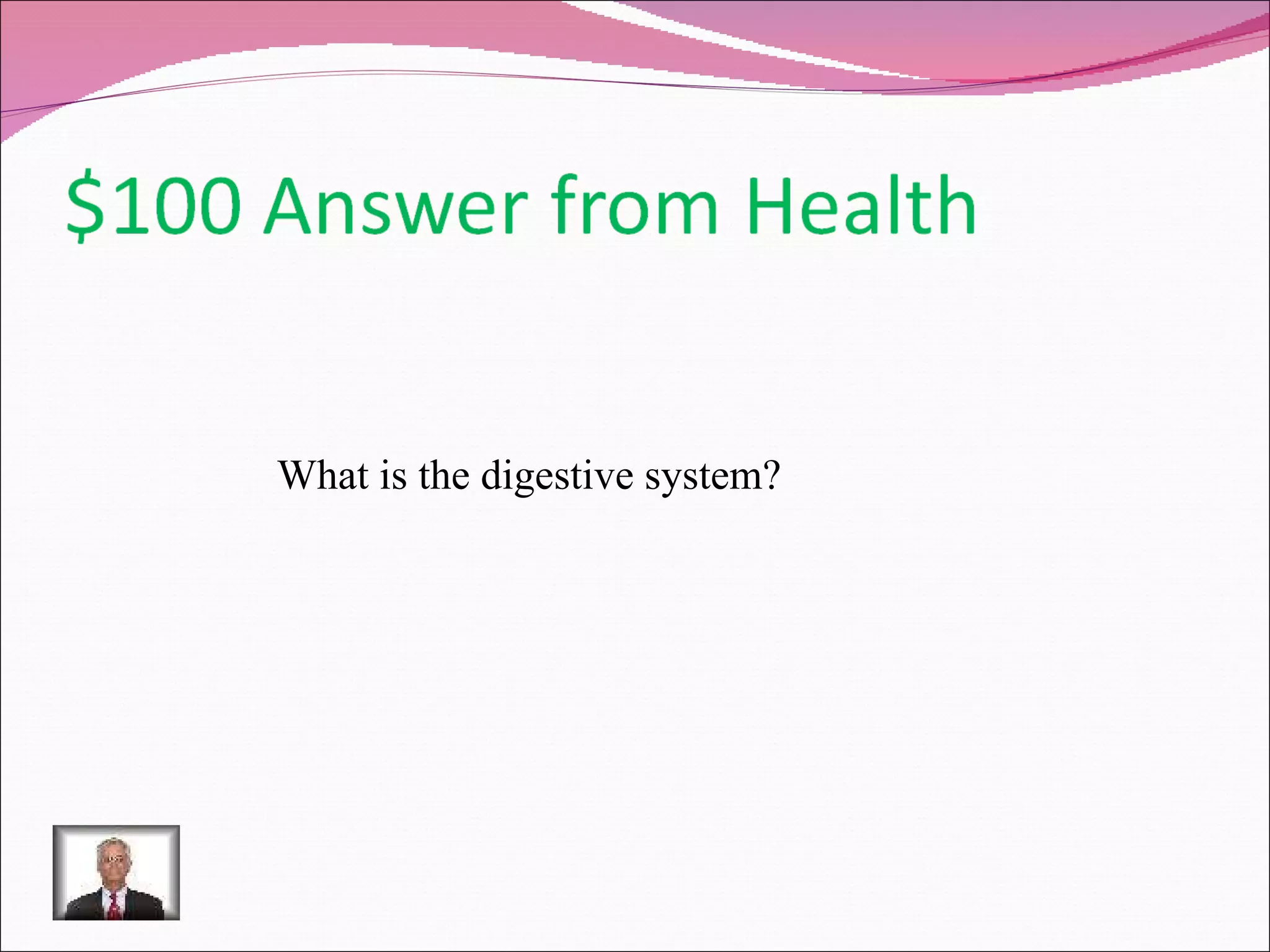 What is the digestive system? 